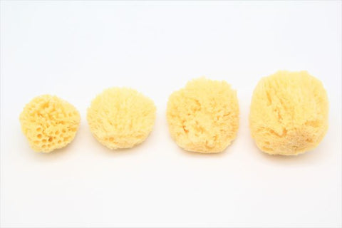 Natural Sea Sponges are 100% biodegradable and renewable